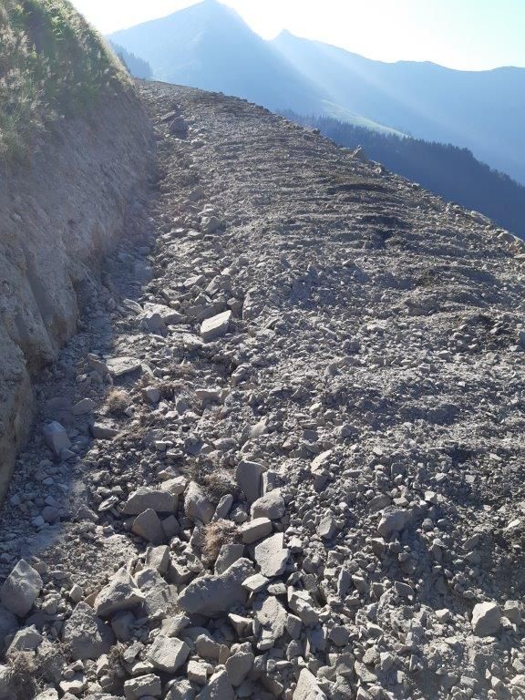 Güterwegebau Tennengau